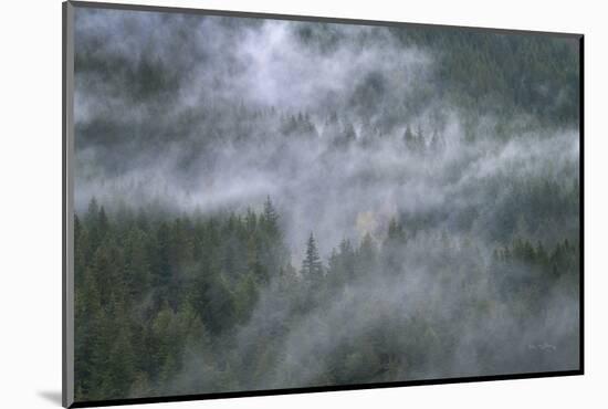 Misty Mountains North Cascades-Alan Majchrowicz-Mounted Photographic Print