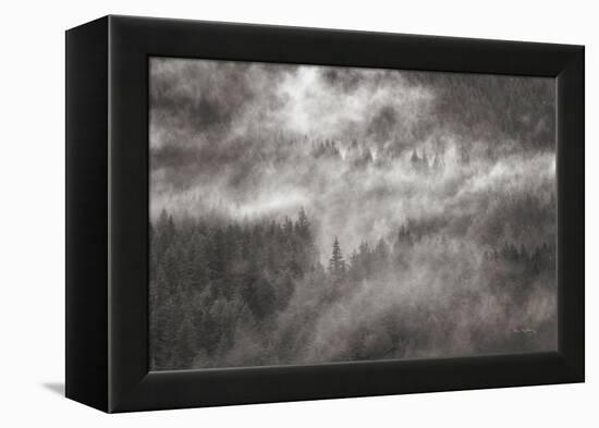 Misty Mountains North Cascades-Alan Majchrowicz-Framed Premier Image Canvas