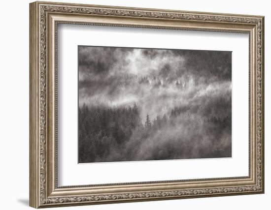 Misty Mountains North Cascades-Alan Majchrowicz-Framed Photographic Print