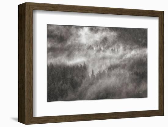 Misty Mountains North Cascades-Alan Majchrowicz-Framed Photographic Print