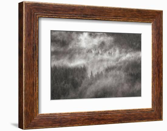 Misty Mountains North Cascades-Alan Majchrowicz-Framed Photographic Print