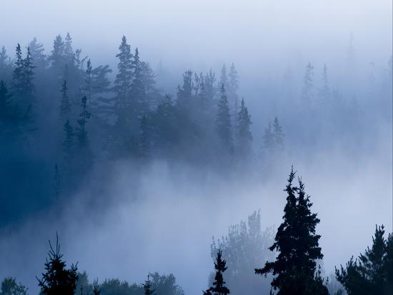 Misty Mountains Xv Photographic Print Art Com Misty Mountains Xv Photographic Print Art Com