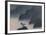 Misty Mountains-David Lee-Framed Limited Edition