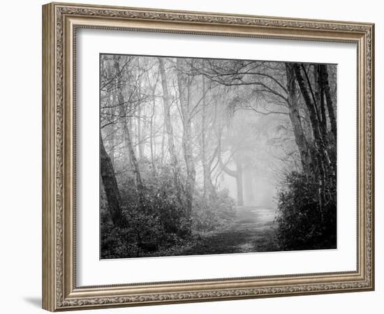 Misty Path in Black and White-Craig Roberts-Framed Photographic Print