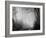 Misty Path in Black and White-Craig Roberts-Framed Photographic Print