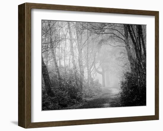 Misty Path in Black and White-Craig Roberts-Framed Photographic Print