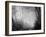 Misty Path in Black and White-Craig Roberts-Framed Photographic Print