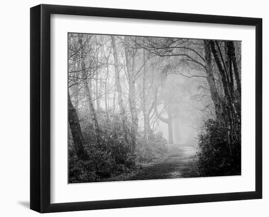 Misty Path in Black and White-Craig Roberts-Framed Photographic Print