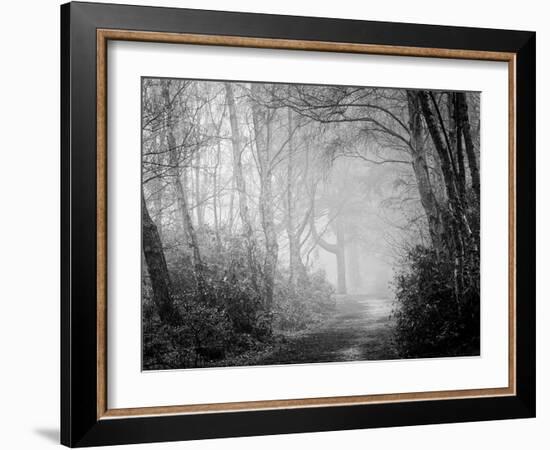 Misty Path in Black and White-Craig Roberts-Framed Photographic Print