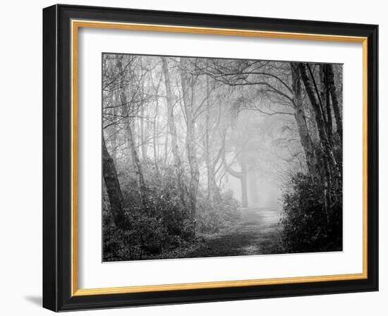 Misty Path in Black and White-Craig Roberts-Framed Photographic Print