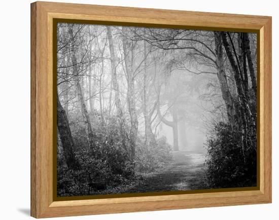 Misty Path in Black and White-Craig Roberts-Framed Premier Image Canvas