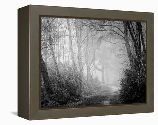 Misty Path in Black and White-Craig Roberts-Framed Premier Image Canvas