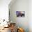 Misty Path-Eric Joyner-Premium Giclee Print displayed on a wall