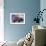 Misty Path-Eric Joyner-Framed Premium Giclee Print displayed on a wall