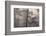 misty pine forest, mexico-claudio contreras-Framed Photographic Print