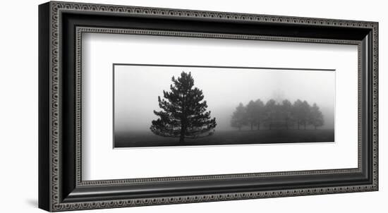 Misty Pines-Erin Clark-Framed Art Print