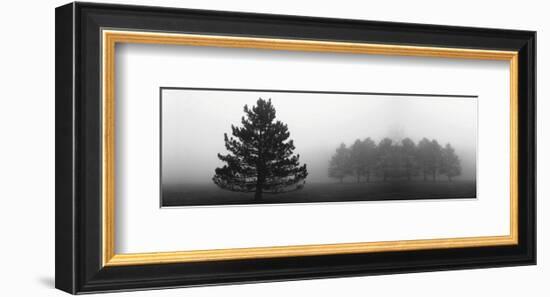 Misty Pines-Erin Clark-Framed Art Print