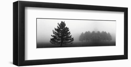 Misty Pines-Erin Clark-Framed Art Print