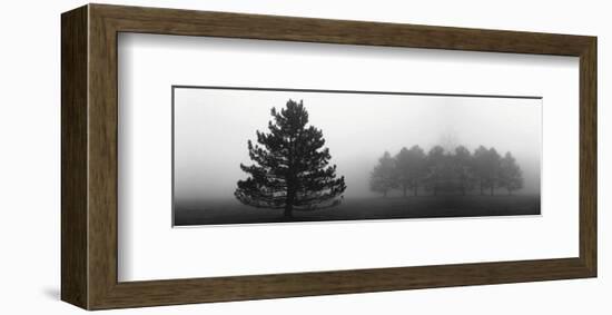 Misty Pines-Erin Clark-Framed Art Print
