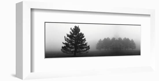 Misty Pines-Erin Clark-Framed Art Print