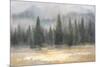 Misty Pines-Danhui Nai-Mounted Art Print