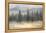 Misty Pines-Danhui Nai-Framed Stretched Canvas