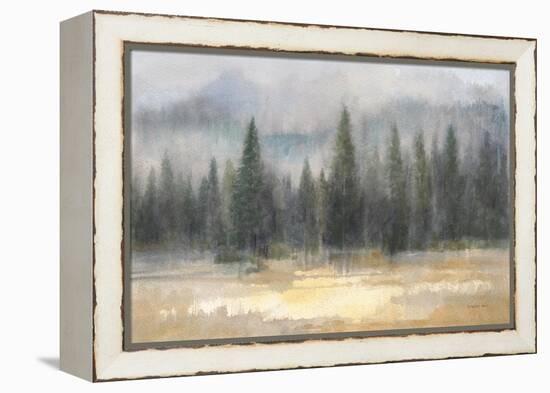 Misty Pines-Danhui Nai-Framed Stretched Canvas