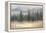 Misty Pines-Danhui Nai-Framed Stretched Canvas