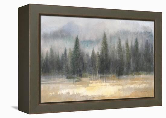 Misty Pines-Danhui Nai-Framed Stretched Canvas