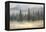 Misty Pines-Danhui Nai-Framed Stretched Canvas