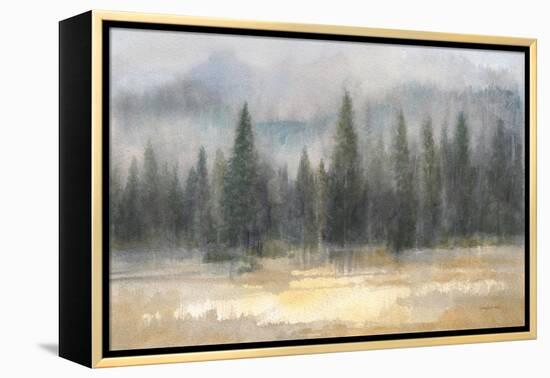 Misty Pines-Danhui Nai-Framed Stretched Canvas