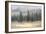 Misty Pines-Danhui Nai-Framed Premium Giclee Print