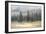 Misty Pines-Danhui Nai-Framed Premium Giclee Print