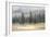 Misty Pines-Danhui Nai-Framed Premium Giclee Print