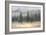 Misty Pines-Danhui Nai-Framed Art Print