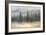 Misty Pines-Danhui Nai-Framed Art Print