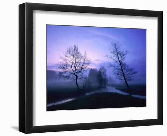 Misty River and Forest at Dusk, Baden-Wuerttemberg, Germany-Herbert Kehrer-Framed Photographic Print