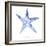 Misty Starfish-Marcus Prime-Framed Art Print