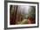 Misty Trail Through the Woods-Vincent James-Framed Photographic Print