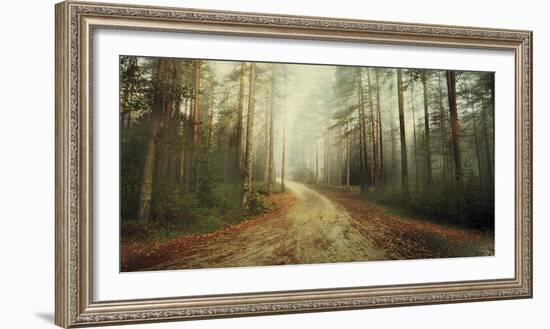 Misty Trail-Andreas Stridsberg-Framed Giclee Print