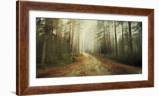 Misty Trail-Andreas Stridsberg-Framed Giclee Print