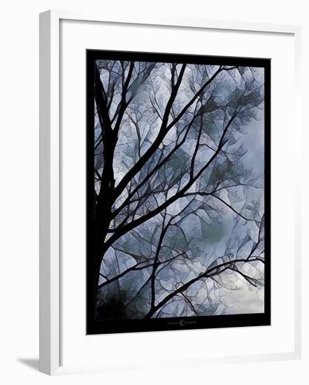 Misty Tree-Tim Nyberg-Framed Giclee Print