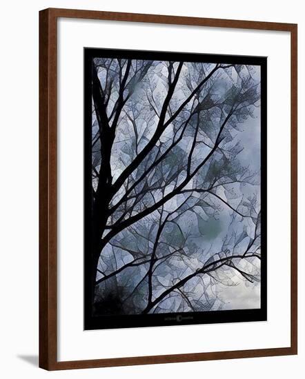 Misty Tree-Tim Nyberg-Framed Giclee Print