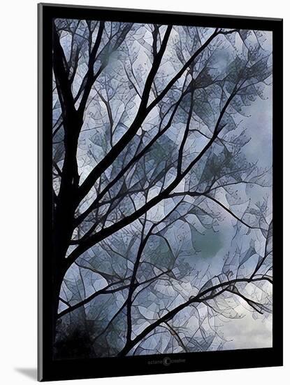 Misty Tree-Tim Nyberg-Mounted Giclee Print