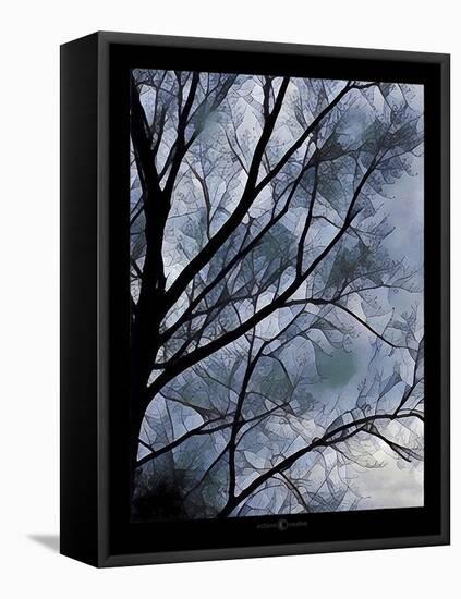 Misty Tree-Tim Nyberg-Framed Premier Image Canvas