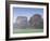 Misty Trees, Exe Valley, Devon, England, United Kingdom, Europe-Jeremy Lightfoot-Framed Photographic Print