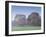 Misty Trees, Exe Valley, Devon, England, United Kingdom, Europe-Jeremy Lightfoot-Framed Photographic Print