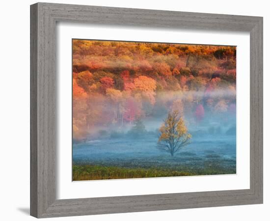 Misty Valley and Forest in Autumn, Davis, West Virginia, USA-Jay O'brien-Framed Photographic Print