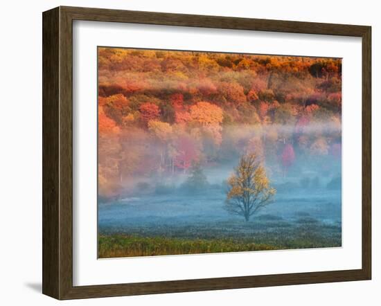 Misty Valley and Forest in Autumn, Davis, West Virginia, USA-Jay O'brien-Framed Photographic Print