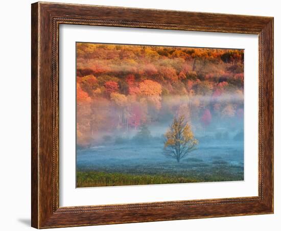 Misty Valley and Forest in Autumn, Davis, West Virginia, USA-Jay O'brien-Framed Photographic Print